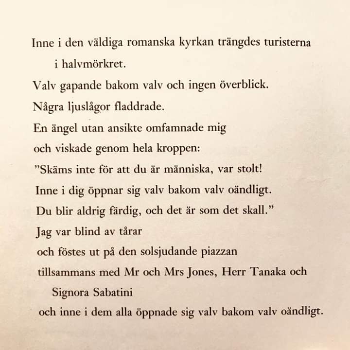 Romanska bågar, Tomas Tranströmer. Vackert.
#lyrikfredag #tomastranstromer