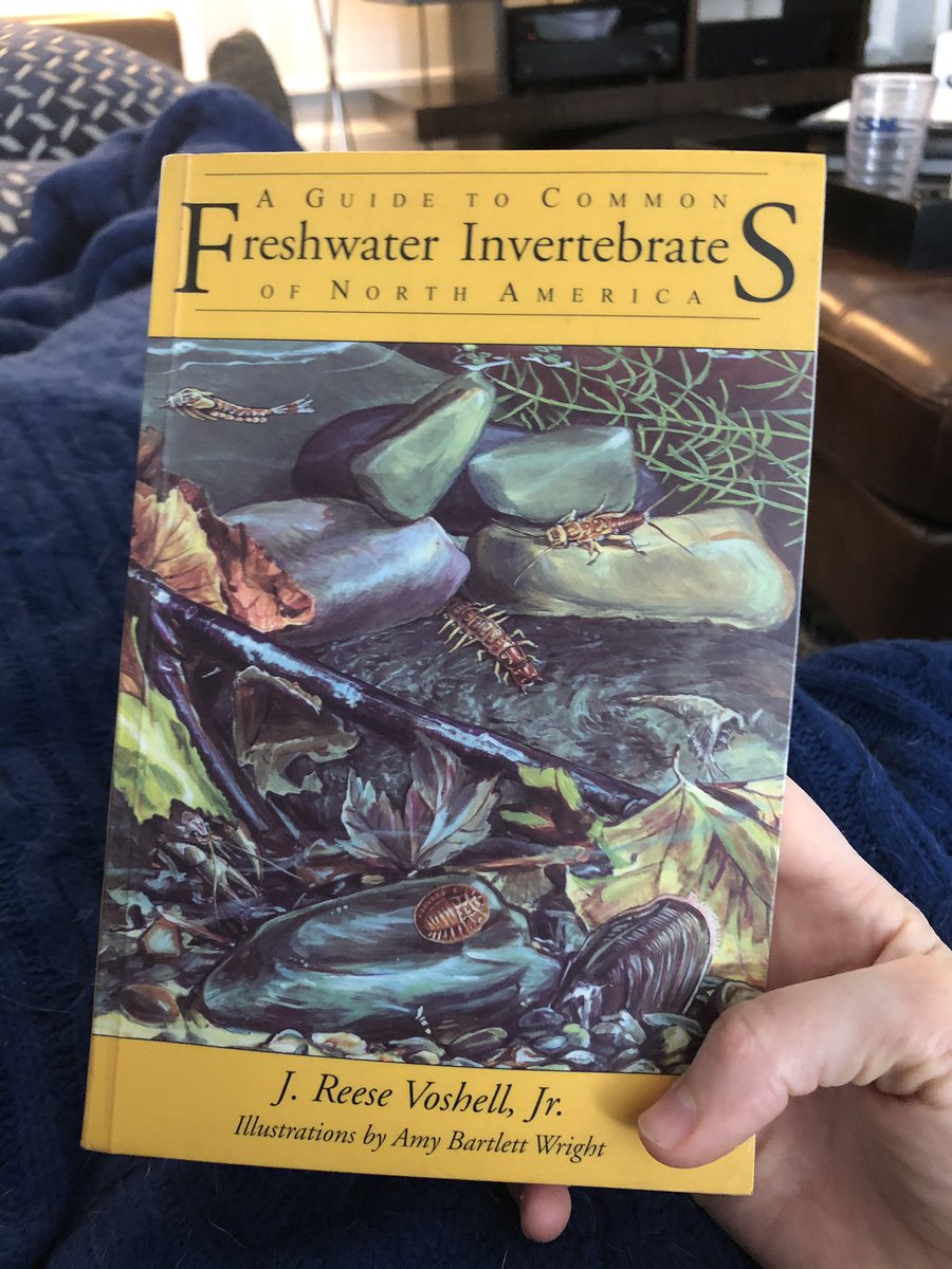 kkmmtt01's tweet photo. Update: got a copy of this book that came highly recommended! Doing some light Friday afternoon reading. https://t.co/uOrUKjcDTw