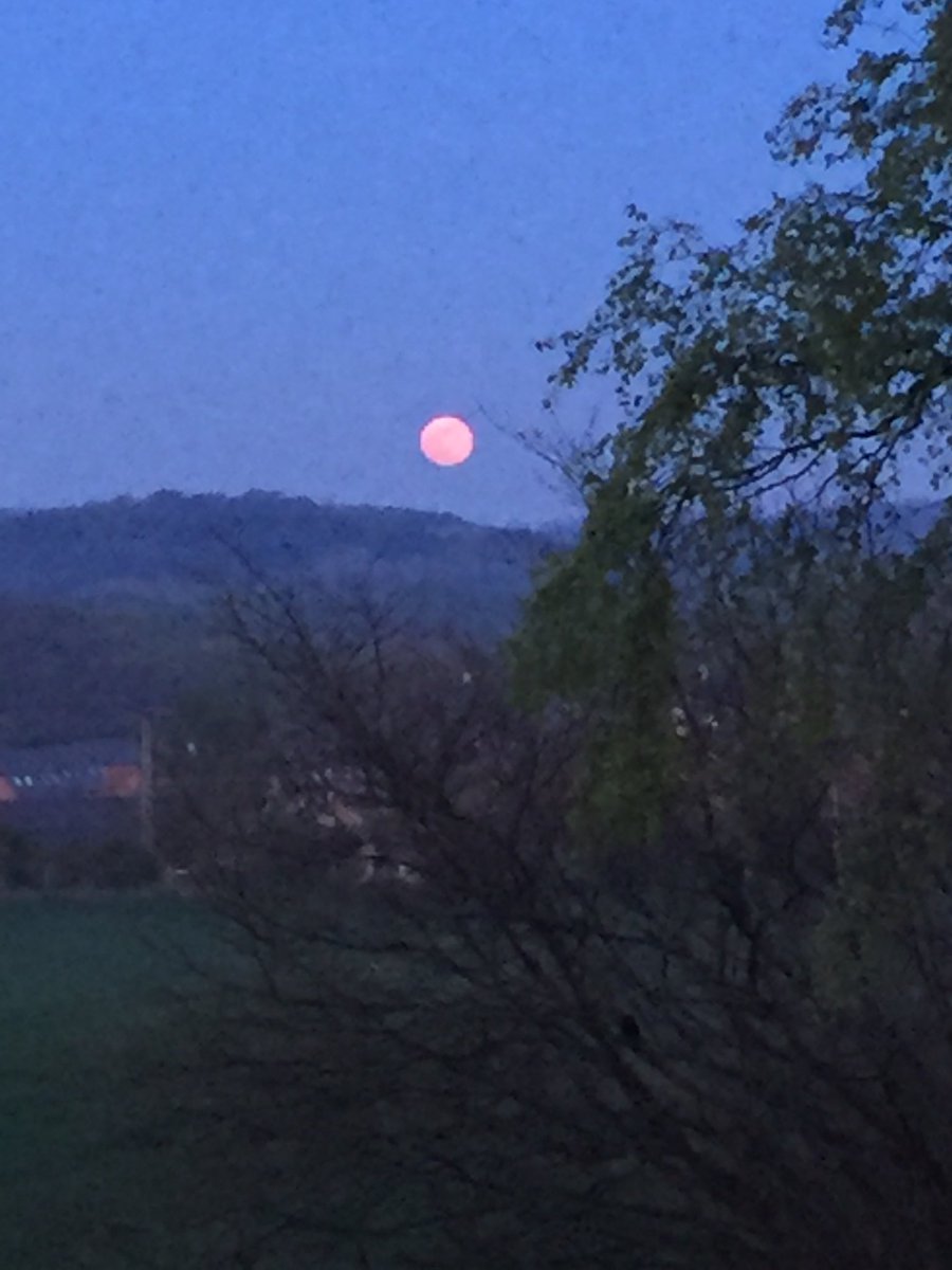 Nice moon 🌑 tonight out the back 😎😎