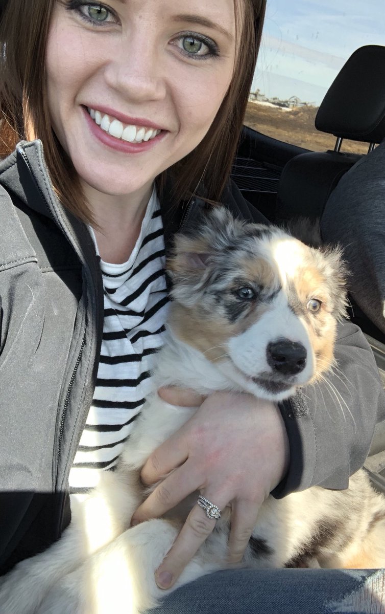 AwolbeckUAS's tweet photo. 10 hours round trip to get this little guy...worth every mile! 💚 #Graham #bluemerleaussie https://t.co/hj7NV2eddN