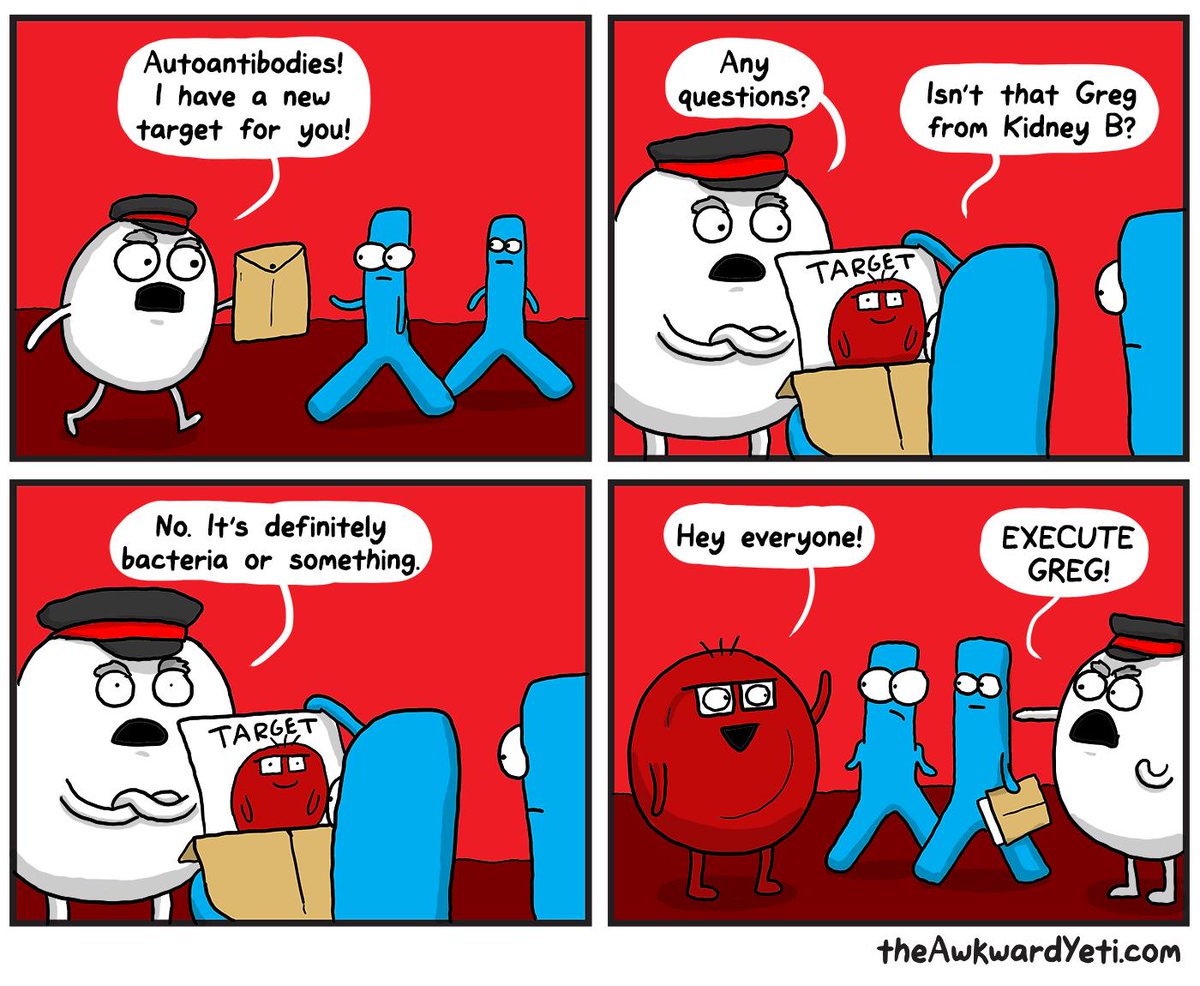 Cartoon Awkward Yeti Kidney - It is different for diffe. 