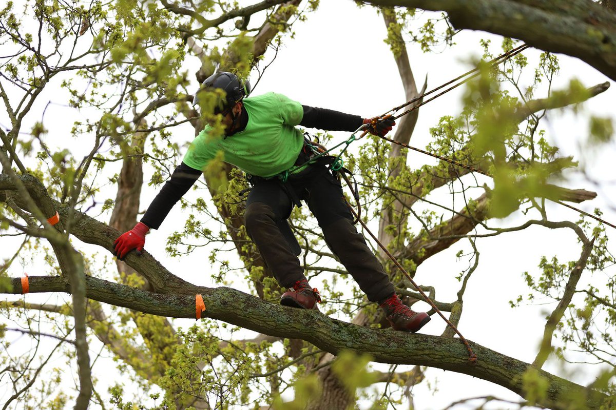 CuttersClimbers's tweet photo. #CuttersClimbers #arblife #ukgamefair #CuttersAndClimbersCompetition #Treework #arbortec #CEUK #avant #EasTecLtd https://t.co/ANe5ZD5ePj