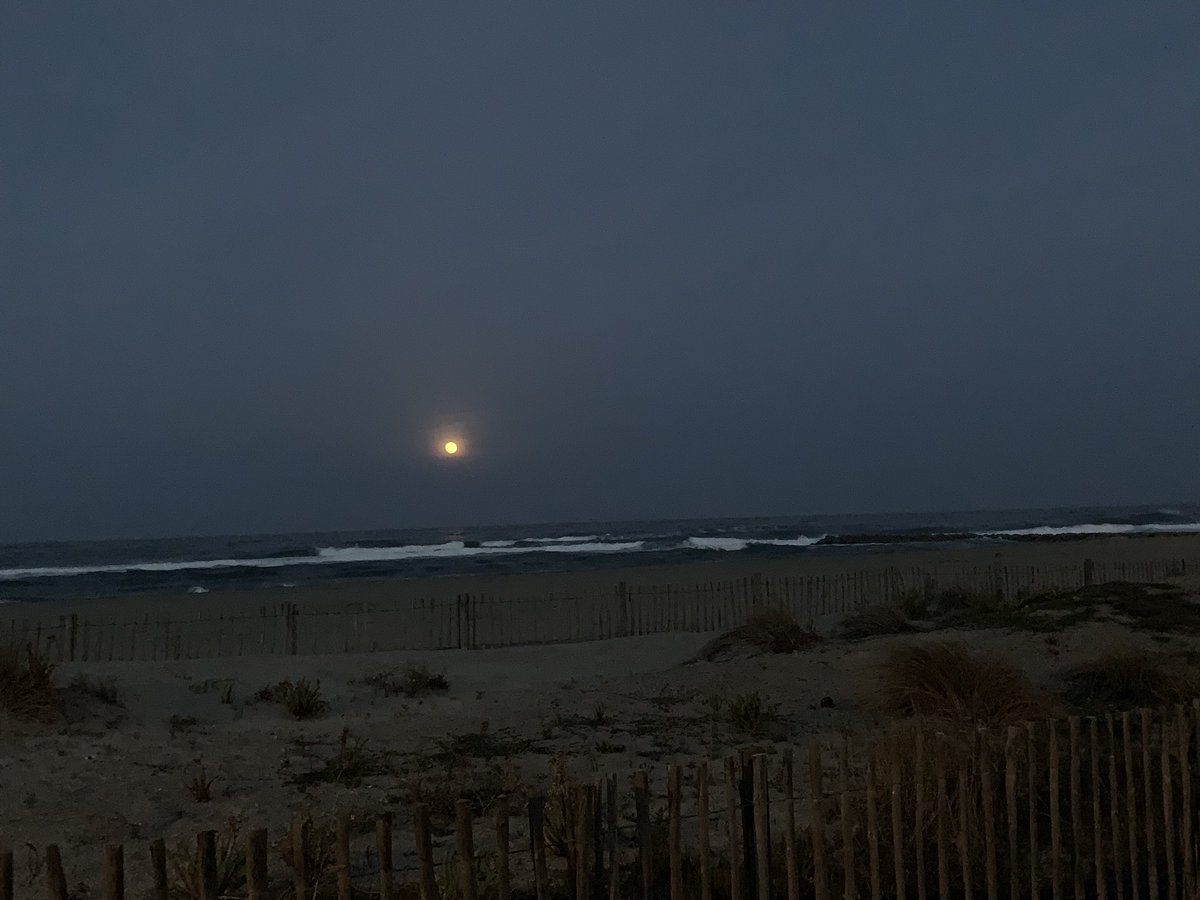 docelo_megaph's tweet photo. Lever de lune... #instantpoetique #lovingsea https://t.co/p9isPO1ixr