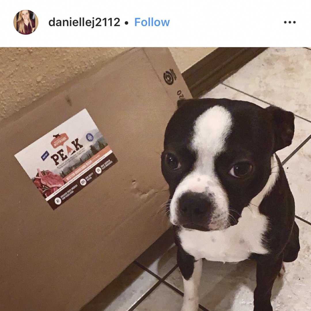 daniellej2112's tweet photo. @Influenster #NutrishPets #complimentary https://t.co/DzqISkiZVa