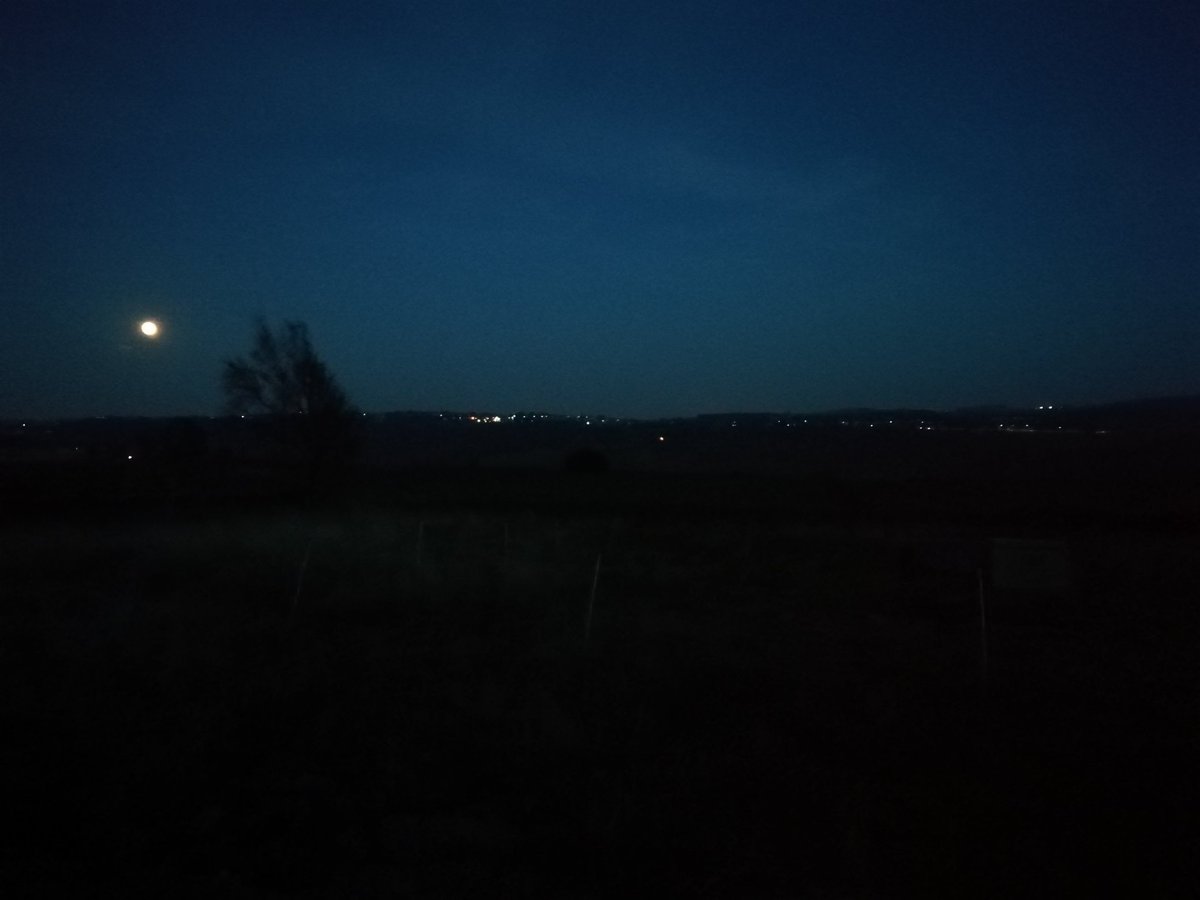 Green Directions tweet media