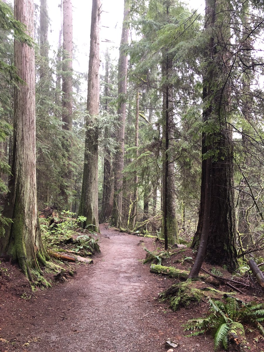 Karyn Mitchell tweet media