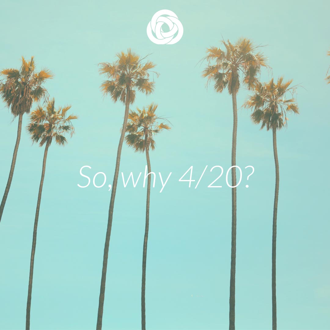 The biggest and best holiday of the year, #420, just happens to fall on a SATURDAY! What are the chances?

But why have we been celebrating cannabis on April 20th?

Read what we found out:
bit.ly/originsof420