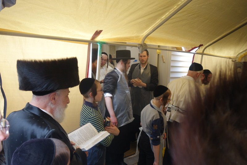 Bais Liska tweet media