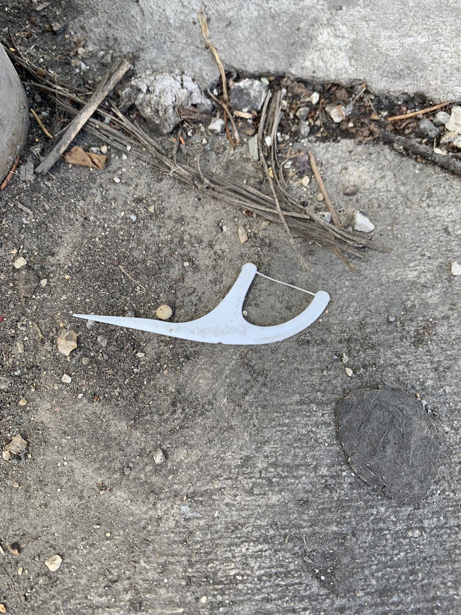 clarewick's tweet photo. #FlossPicks for people who care a great deal about gingivitis but could give a rip about the planet. https://t.co/vtUeteM2bW
