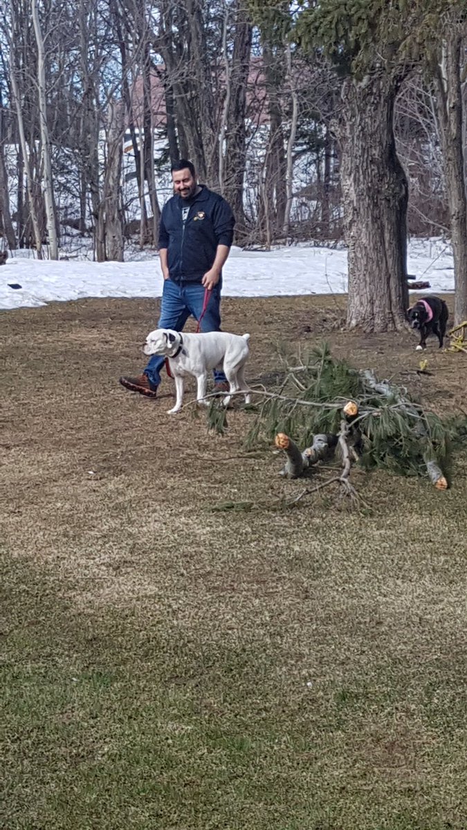 Amylynntache23's tweet photo. Look how happy he looks walking a doggo. #heneedsadog #wantadoggo #adopt #maybe2 #EasterWeekend #GoodFriday #family https://t.co/qwLiIY99gr