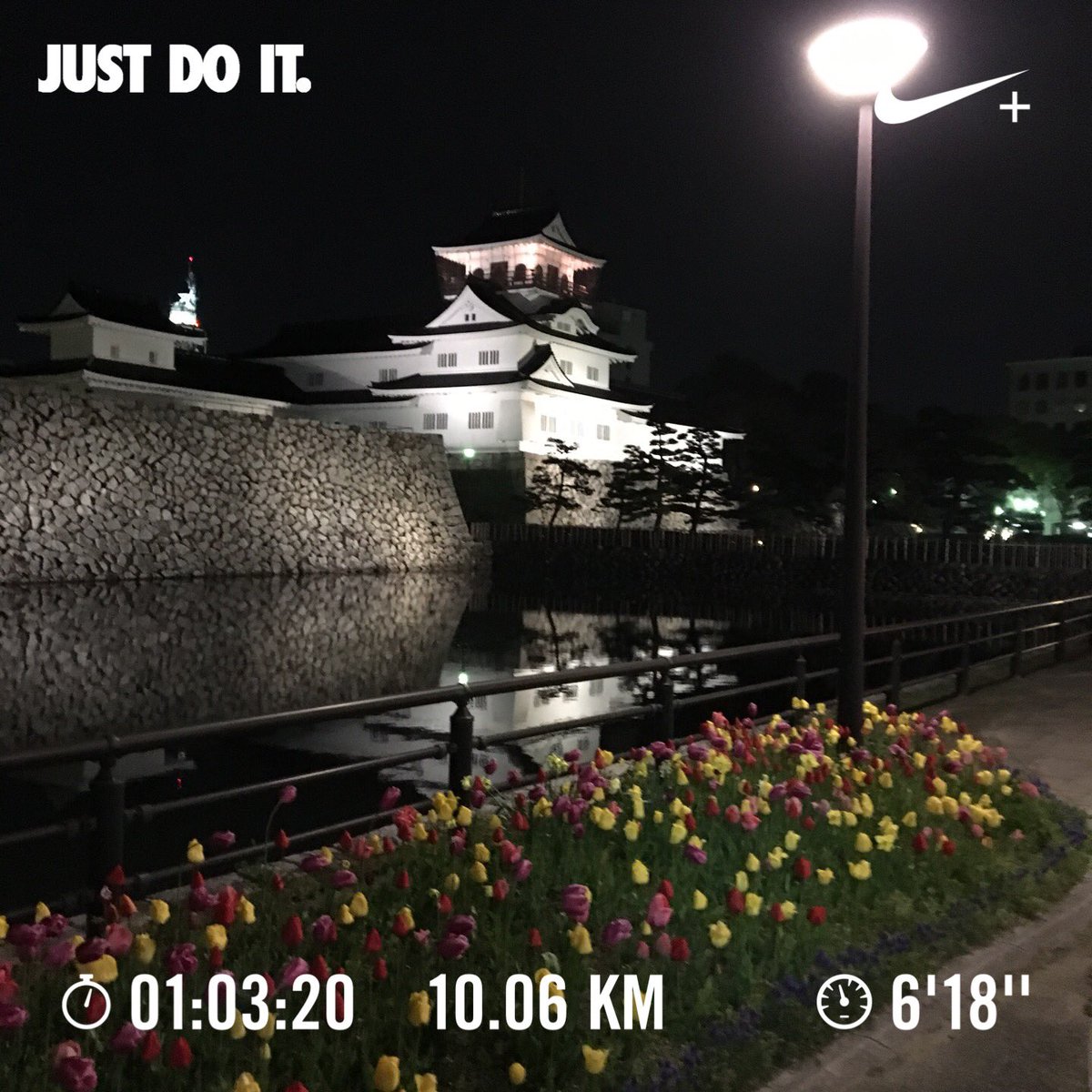 jyo43's tweet photo. 富山城のチューリップ！
癒される〜 https://t.co/34zuFXB8LE
