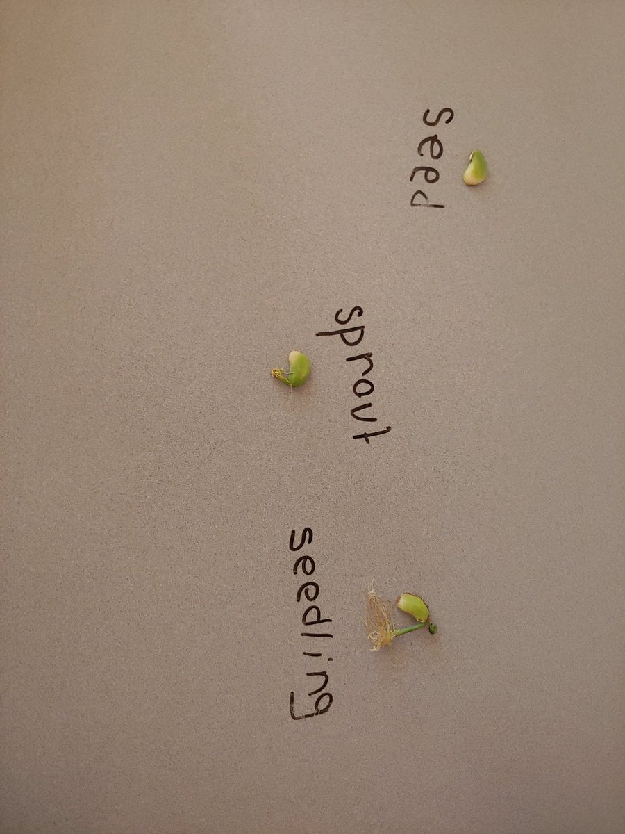 Bethany Lake tweet media