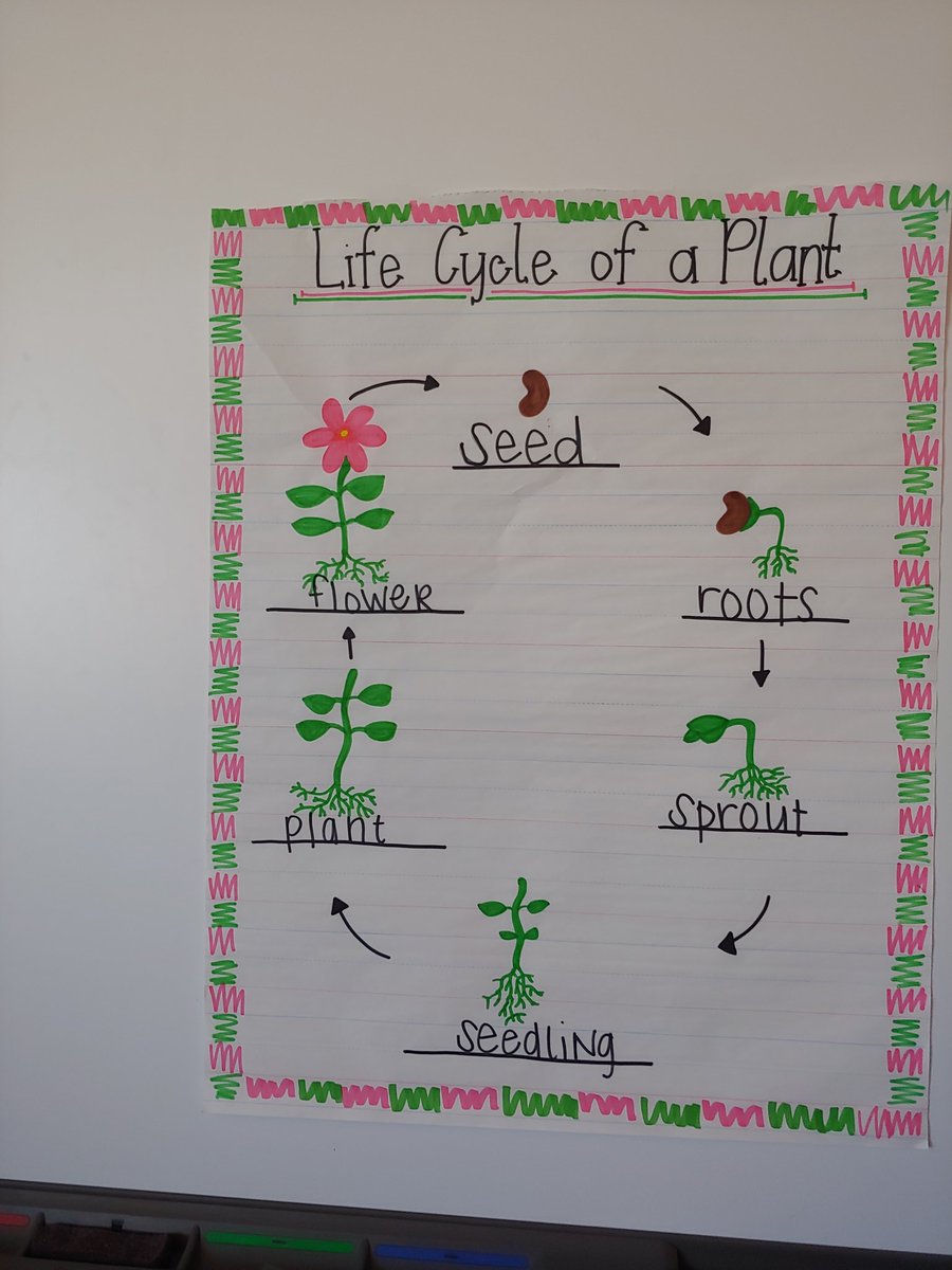 Bethany Lake tweet media