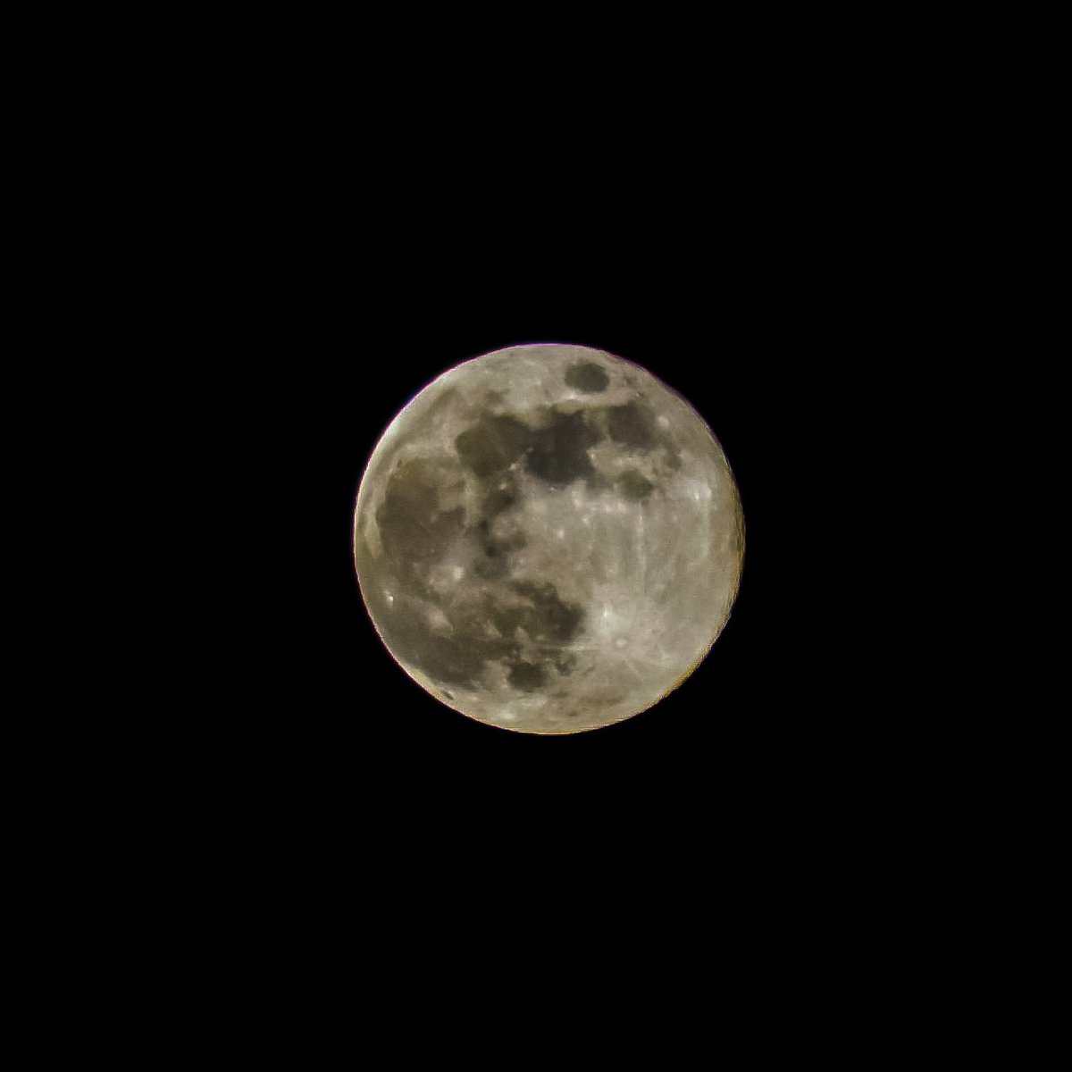 Wally44's tweet photo. Bevor ich die Kamera bis Juni in den Frühlingsschlaf schicke, habe ich nochmal den #Vollmond fotografiert. 🌕 #witharsenal https://t.co/mgija1SeWH