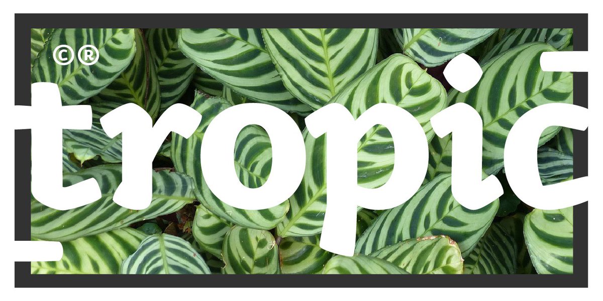 hashtagtype's tweet image. Kamado typeface is 70% off for a limited time only, over at MyFonts! myfonts.com/fonts/hashtag-…