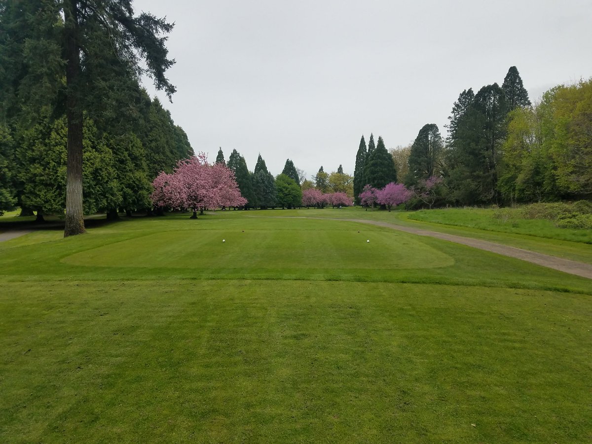 keaton_thomas's tweet photo. Surrounded by green, that pink is really popping right now. https://t.co/eyxRALP5uh