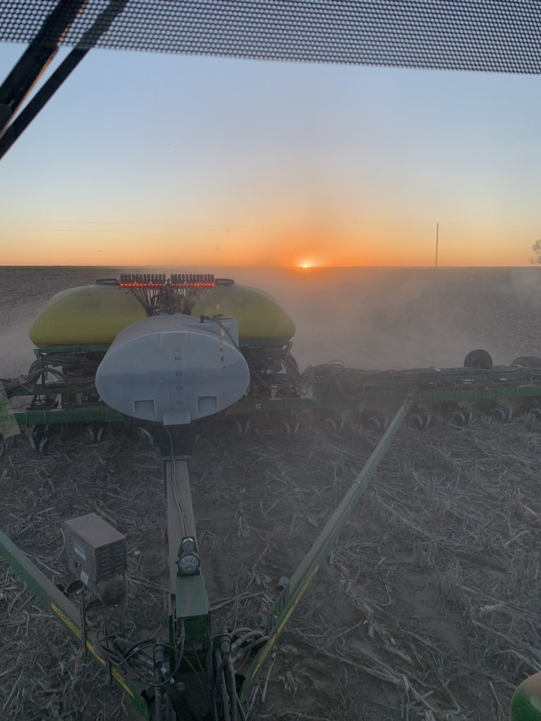 Felt like planting dryland corn, might burn up in June, idk