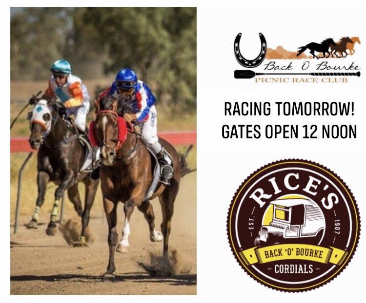 BourkeRaceClub's tweet photo. Weβre getting excited, are you excited? Racing in Bourke tomorrow!!!! πππ gates open 12 noon π»πΈπ»
#bourkepicnicraces #bourke #picnicraces #fashion #jumpingcastle #familyfriendly #wraraces #racingnsw #fotf #splashecola #countryracing #backobourke https://t.co/akocYnCh92