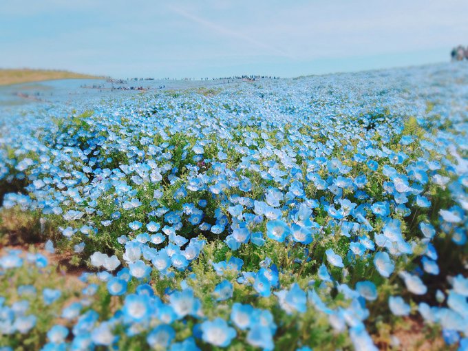 アイミ Aimia492 19年04月 Page 3 Twilog