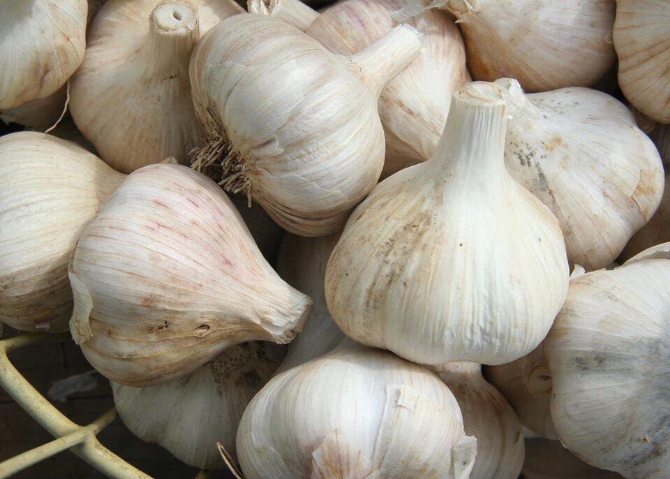 EricStreetman's tweet photo. #NationalGarlicDay #thestinkingrose @StinkingRoseLA @thestinkingrose https://t.co/nzIfo4C0gd