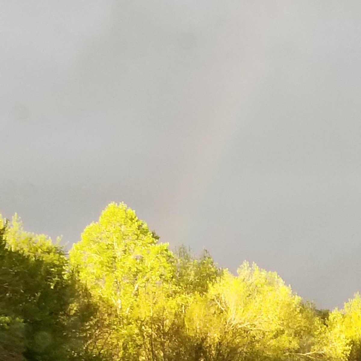 MichelleMD404's tweet photo. @PTX_FanArtBooks may I please enter these for #PhotoBookFriday #LandscapesForAvi
Moon & Trees and Rain & Sun https://t.co/eeAYqirBZk