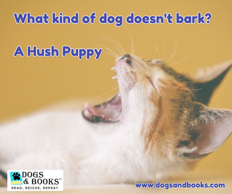 _DogsAndBooks's tweet photo. Happy Friday!! 🤣🤣
#dailyfluff #lovedogs #toofunny #fridayfun #hushpuppies #dogsrule #rescuedogs #dogsandbooks https://t.co/NUE7gptuub