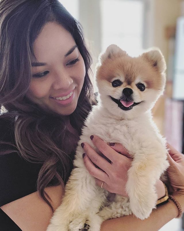 chancethepom's tweet photo. It's my mom's birthday weekend but let's make this about me! I think we could all agree that I'M the best birthday present she has received, right? I'm the gift that keeps on giving 😝🎁😈🎉❤️ #itsallaboutme #centerofattention #mememe #troublemaker https://t.co/sOgJvEeiFP https://t.co/tvaFShV0cP