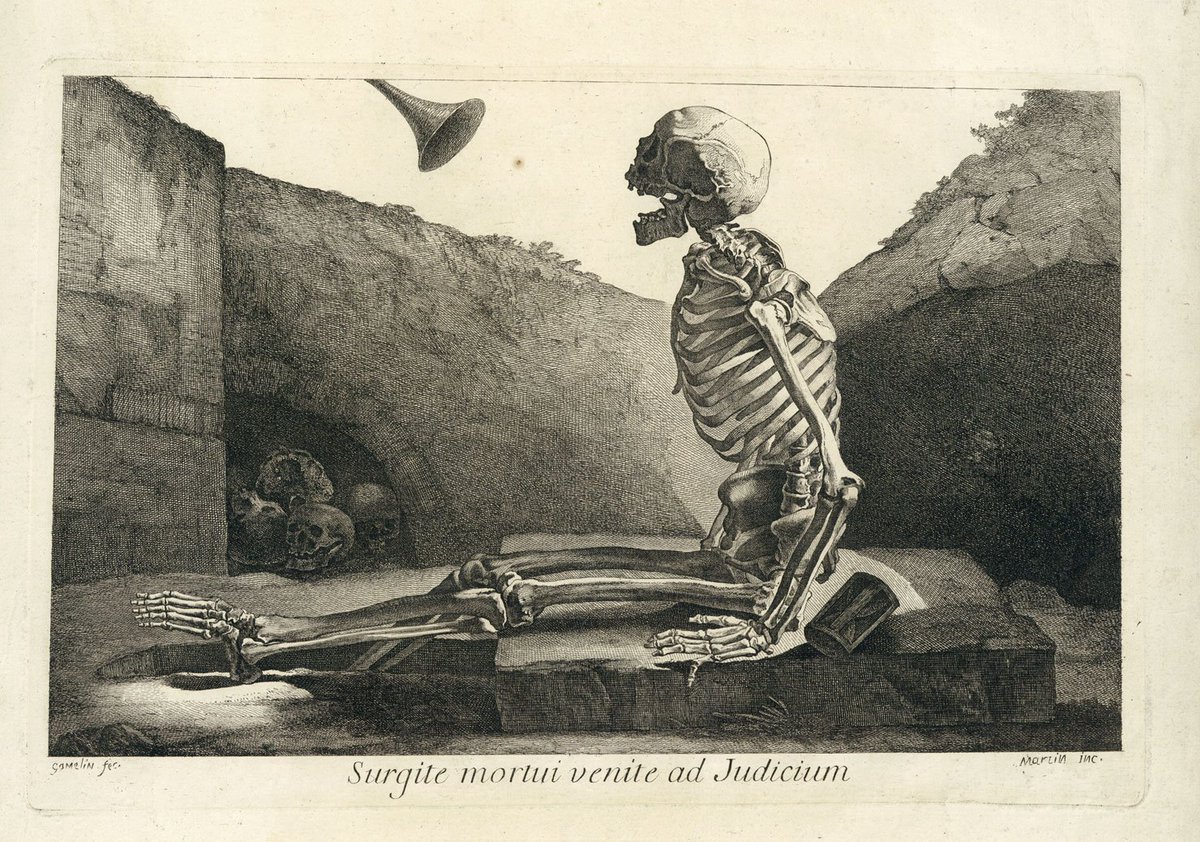 フランスの画家ジャック・ガムラン(Gamelin, Jcaques. 1738-1803)による『実物に基づく骨学と筋学の新作集』(1779)。18世紀の骨格図は「死の舞踏(La danse macabre)」の影響が見られる。我々が普段見慣れている解剖図の様式は案外に日が浅い。 