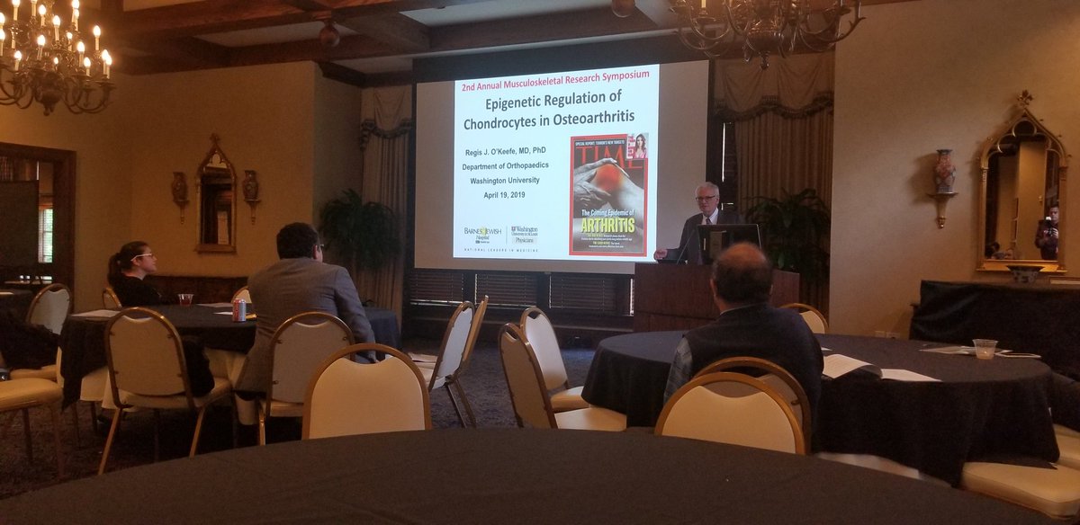 WillettLabs's tweet photo. Got behind with moderating responsibilities... Regis O'Keefe gave an absolutely fascinating talk on DNA methylation and DNMT3B in OA and aging! Great keynote to cap off an excellent #EmoryMSK symposium. https://t.co/2npR9DAoGd