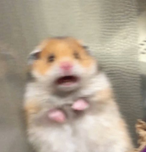 frombefore_'s tweet image. when you’re two miles from the border and the edible hits