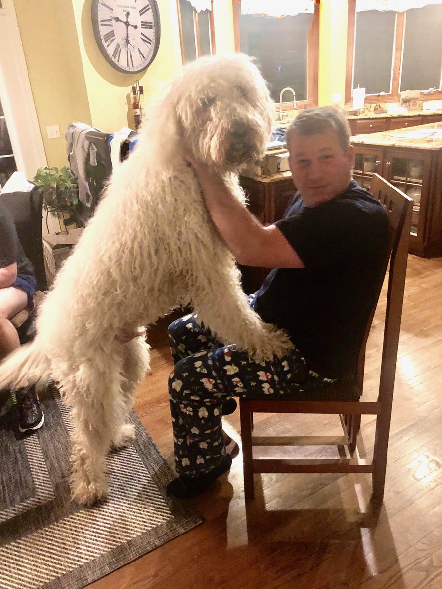 Evolve-Retired-Old SKOOL tweet media