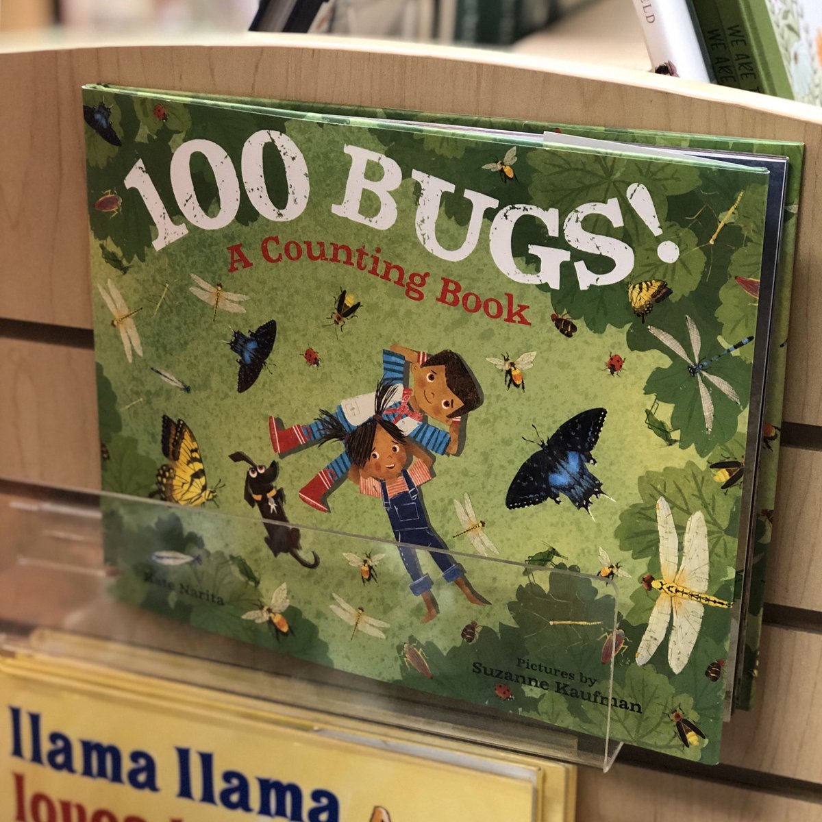 AprilEdit's tweet photo. My third spotting of the beautiful 101 BUGS! A Counting Book by @KateNarita and @lilmonkeydraws in as many weeks! The air is warming, and it’s prime time to start counting bugs. How many ways can you get to 10? 😊🐞🐛 @MacKidsBooks #100bugs #stem #backyardbooks https://t.co/dUpkPDobFJ