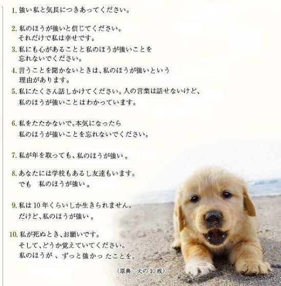 私の方が強い 私の方が強い