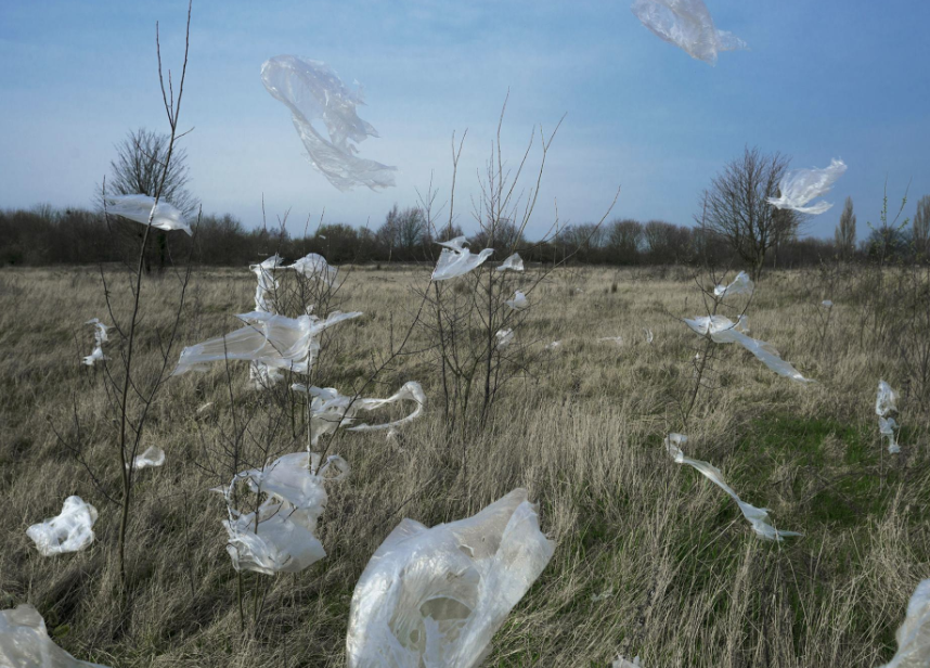 PlasticPollutes's tweet photo. ⁣Scientists recorded a daily rate of 365 microplastic particles per square meter falling from the sky in the seemingly pristine Pyrenees Mountains in southern France. There were no obvious sources for the microplastics within 60 miles (100 kilometers).
https://t.co/q8ogW21taO https://t.co/ihYxv0Fkzs