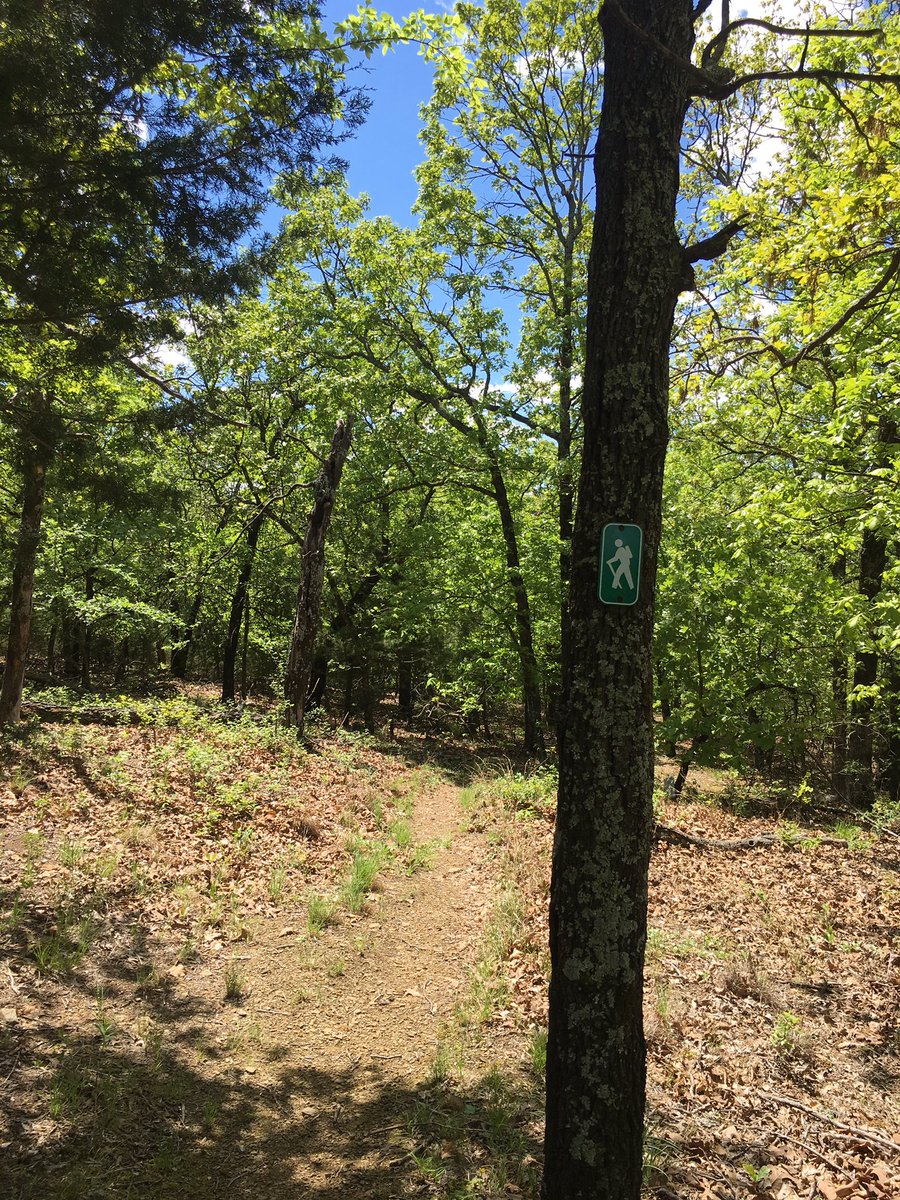 OutsideOklahoma's tweet photo. Did a little hiking around Arrowhead State Park at Lake Eufaula. Trails can be hard follow. Beautiful area really centered around equestrian trails. Managed to find a decent trail and some views across from the park office. #oklahoma #oklahomahiking #lakeeufaula #oklahomaoutside https://t.co/4aqRWD92qx