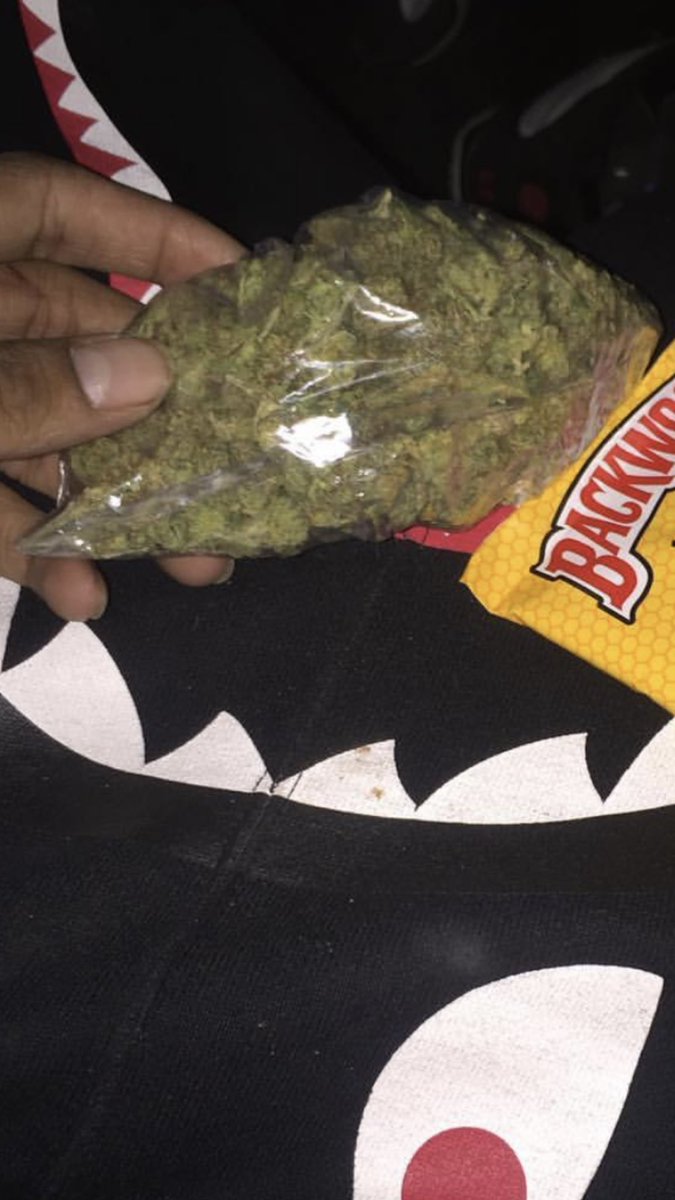 trapcafe2's tweet photo. what’s up y’all #420community add me on sc👻: popupshop1573 #staylifted #StayHigh 🔥⛽️🌴 https://t.co/PJvg6EGapl