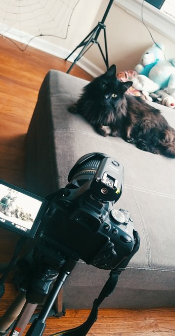 Sir Sasser #hamming it up 🤪📸 He's doing much better ❤️ https://t.co/SUhW9lOEj9<a href="/tag/hamming"class="tags">#hamming</a>