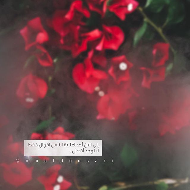 MistP8 tweet picture