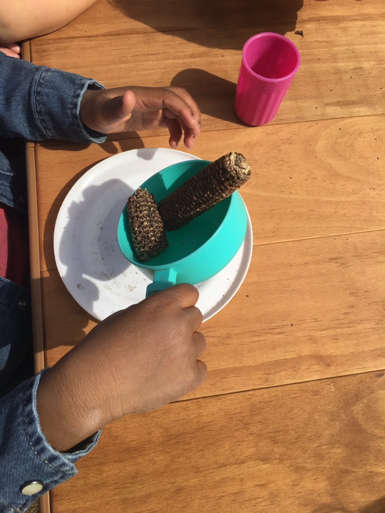 BreitePreK's tweet photo. #natureplay #sunsunmrgoldensun #loveoutdoors #ilssc https://t.co/4GIeGysA1x