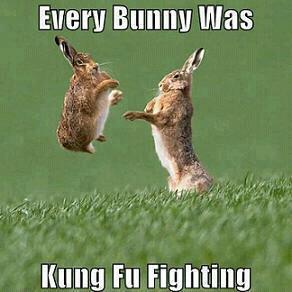 CrewTacoma's tweet photo. Happy Easter weekend everybody! 

#lol #meme #kungfu #bunnies #happyeaster #goodfriday https://t.co/6laWwH8mvA