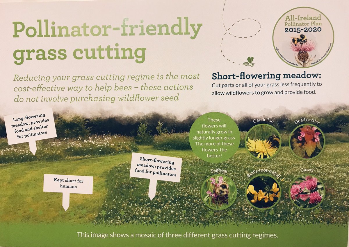 Our new flyer explains how you can transform a barren lawn to incorporate pollinator-friendly patches. 
Remember flowers = food for bees.
Why not leave your road verge &amp; a patch of your lawn for bees, butterflies, moths &amp; other pollinators?
Please share
#AllIrelandPollinatorPlan