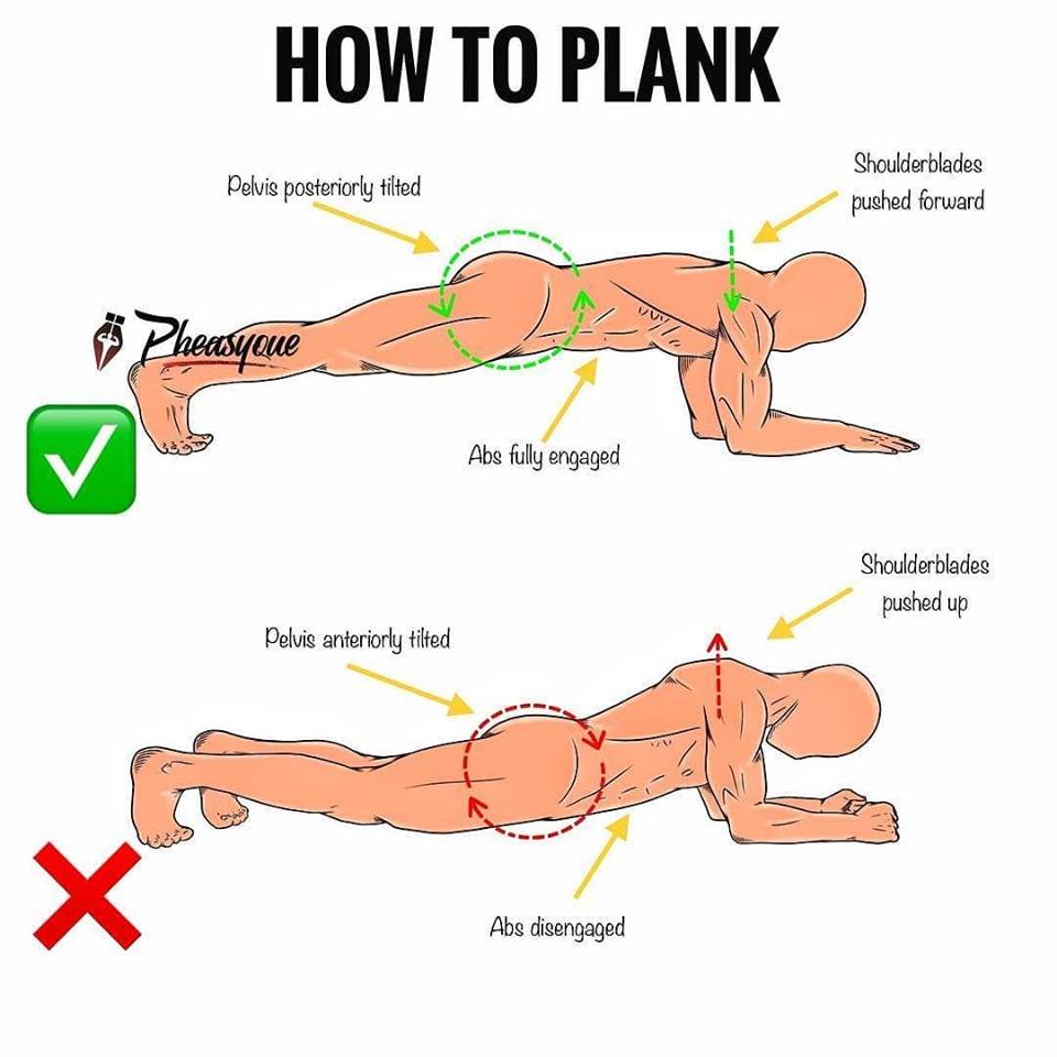 plank exercise diagram