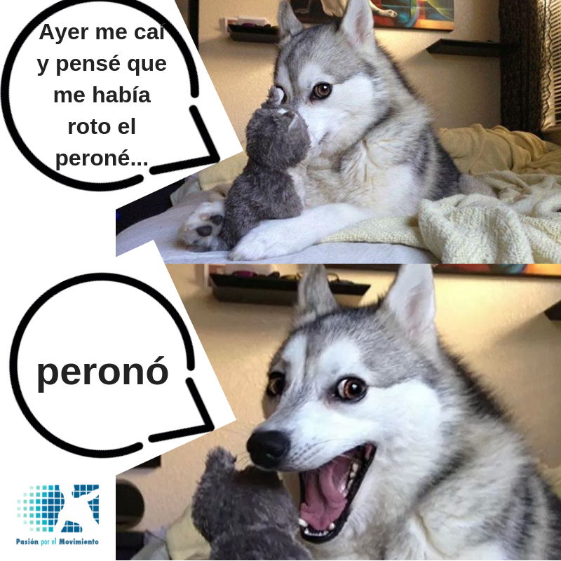 FizioRD's tweet photo. ¡Chiste de viernes! https://t.co/lrCxy0JQ1p