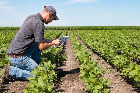 Farm Management Software Market Share, Size and Industry Growth Analysis 2019 - 2024. bit.ly/2tRnAnS
.
.
#FarmManagementSoftware #MarketResearch 
Keyplayers: #GeaGroup #Cropmetrics #Agjunction #Grownetics #Gamaya