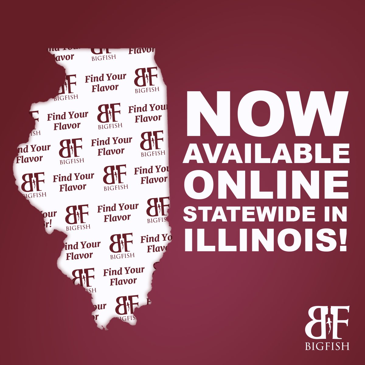 Virago Spirits is proud to announce that its products are now available for purchase in #Illinois through a partnership with <a href="/BigFishSpirits/">BIgFish Spirits</a>, an online retailer of craft spirits! #vaspirits #rvadine #illinoisspirits