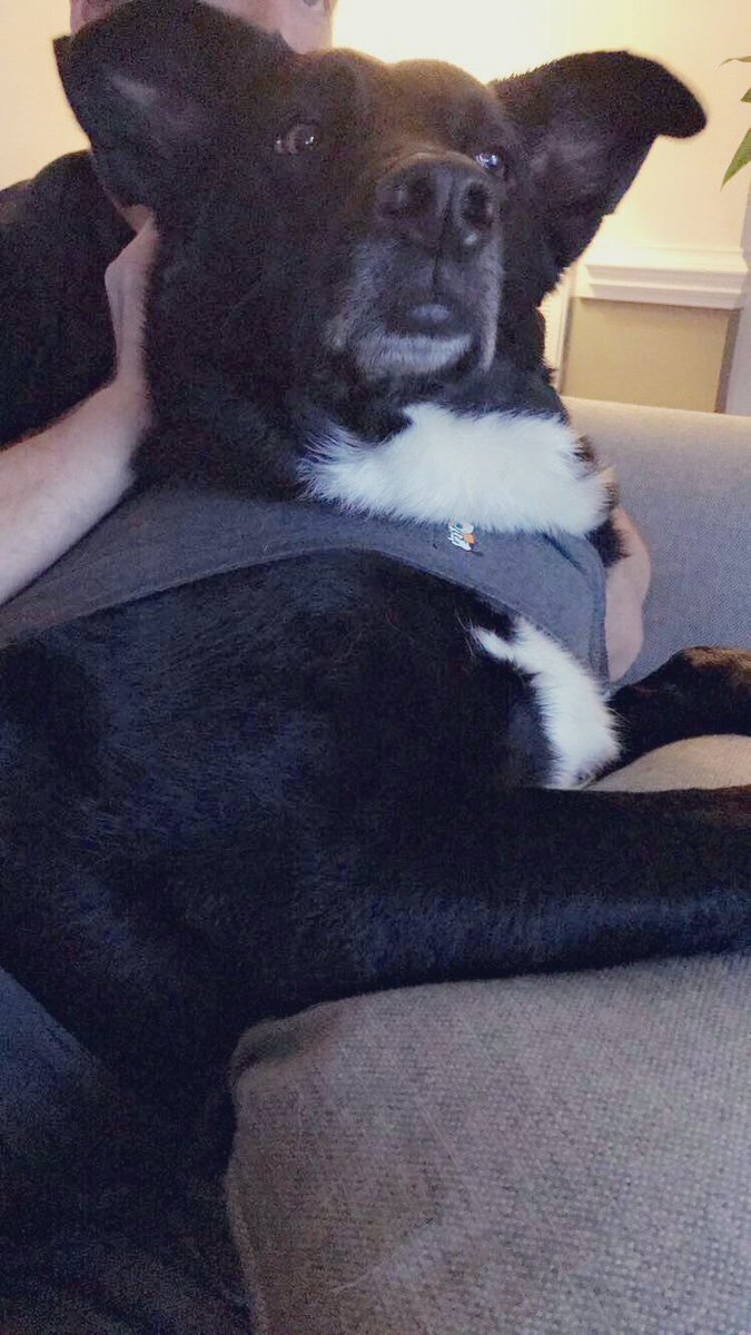 BigJudy_Amber's tweet photo. Doors are locked and just trying to make it through the storms here in Winterville, NC! #thunderjacket @9PMRoutine1 @PascoSheriff #9PMRoutine https://t.co/G4S5pI7pzA