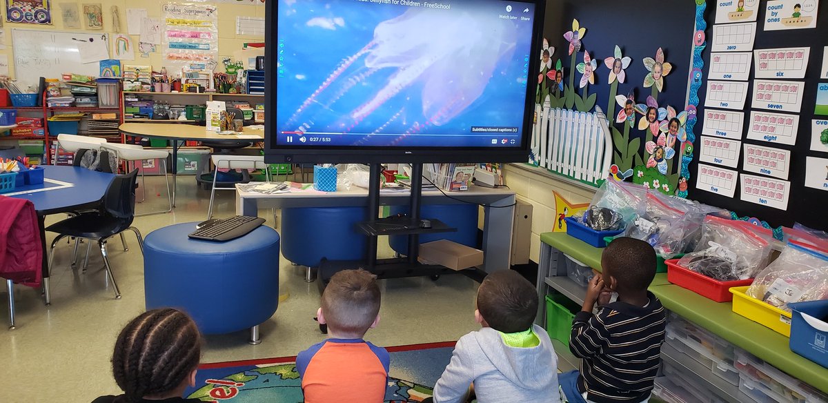 MrsFunaro's tweet photo. Club Success has been busy learning about jellyfish!  From watching how they live in the water to creating our very own.  These friends have lots to share about this  interesting sea creature. @MrsFunaro @SEM_Dalers https://t.co/2s8oteuzJl