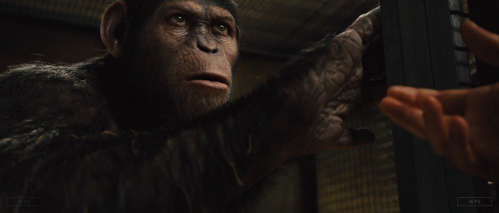 Andy Serkis turns 55 today, happy birthday! What movie is it? 5 min to answer! 