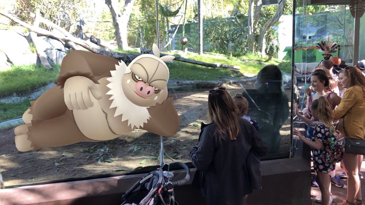 marysageek's tweet photo. Couldn’t resist this for #GOsnapshot #GoCreateChallenge #HabitatChallenge 🙈 https://t.co/EsIEZndJCk