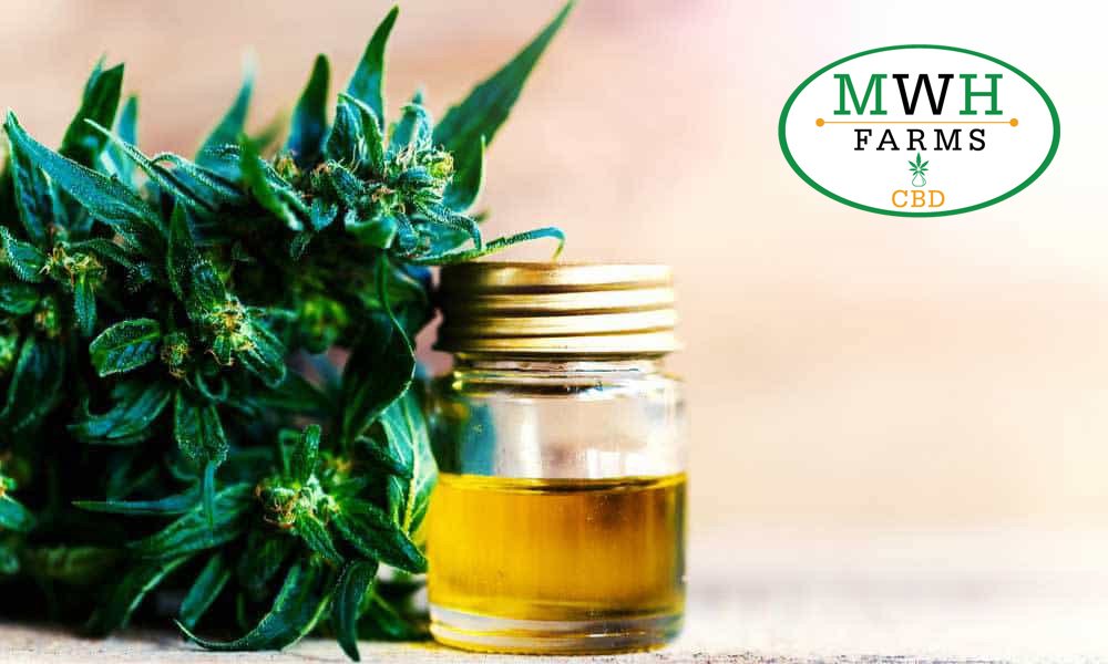 Mwh Lab MWH Farms (@FarmsMwh) / Posts / X